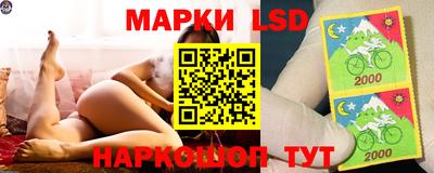 шишки Пугачёв