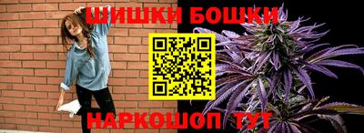 шишки Пугачёв